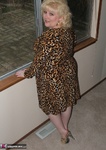 Taffy Spanx. Sexy Leopard Dress Free Pic 3